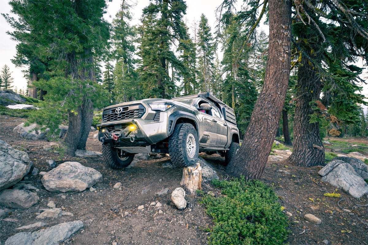 24 Tacoma forest trail